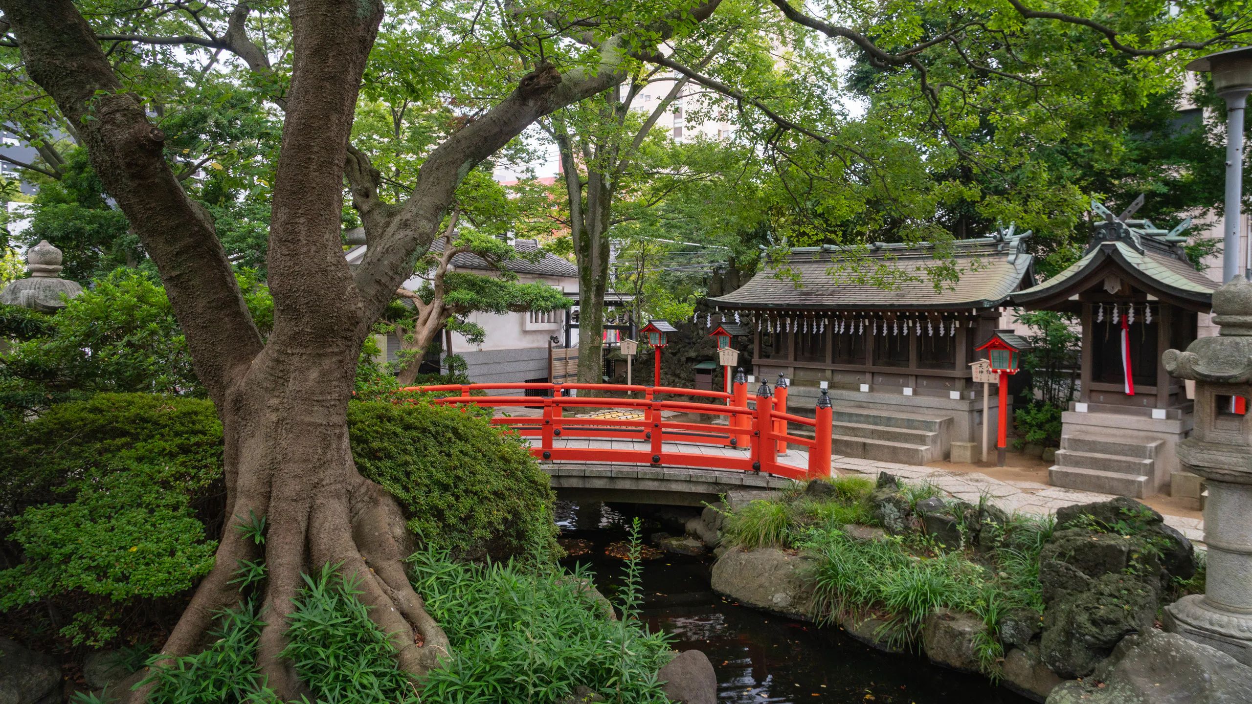 ⛩️ 묘켄혼구 지바신사 이미지 2